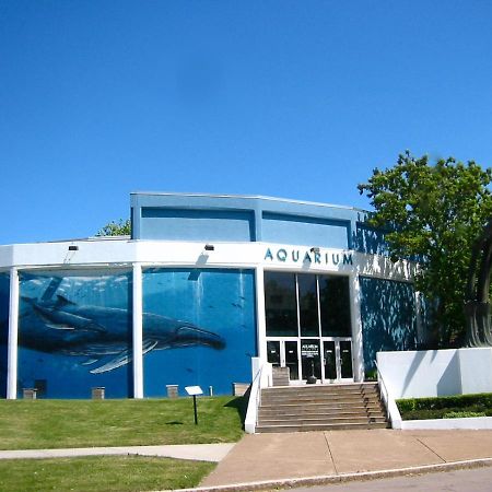 Falls Retreat - Walk To The Falls, The Casino And All Downtown Restaurants - Across From The Aquarium Niagara Falls Eksteriør billede