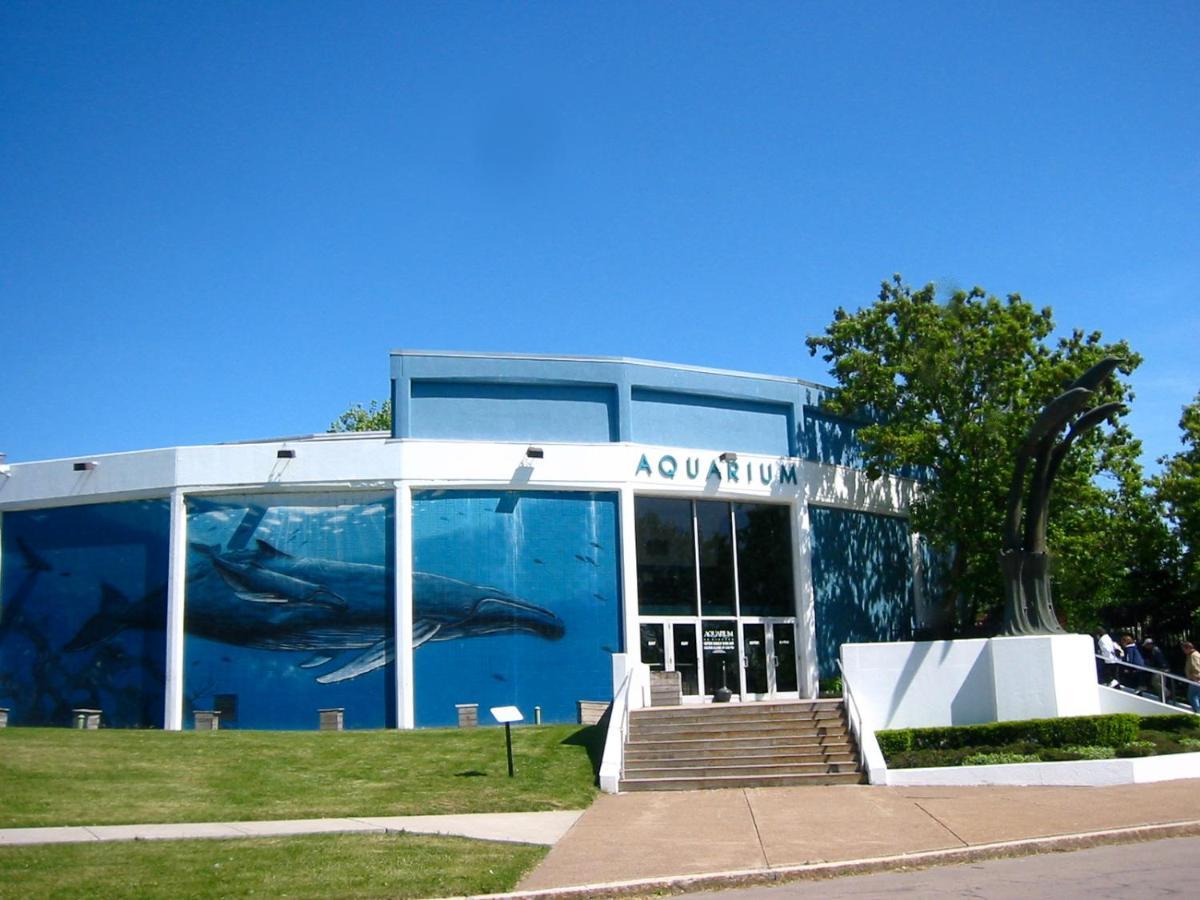 Falls Retreat - Walk To The Falls, The Casino And All Downtown Restaurants - Across From The Aquarium Niagara Falls Eksteriør billede